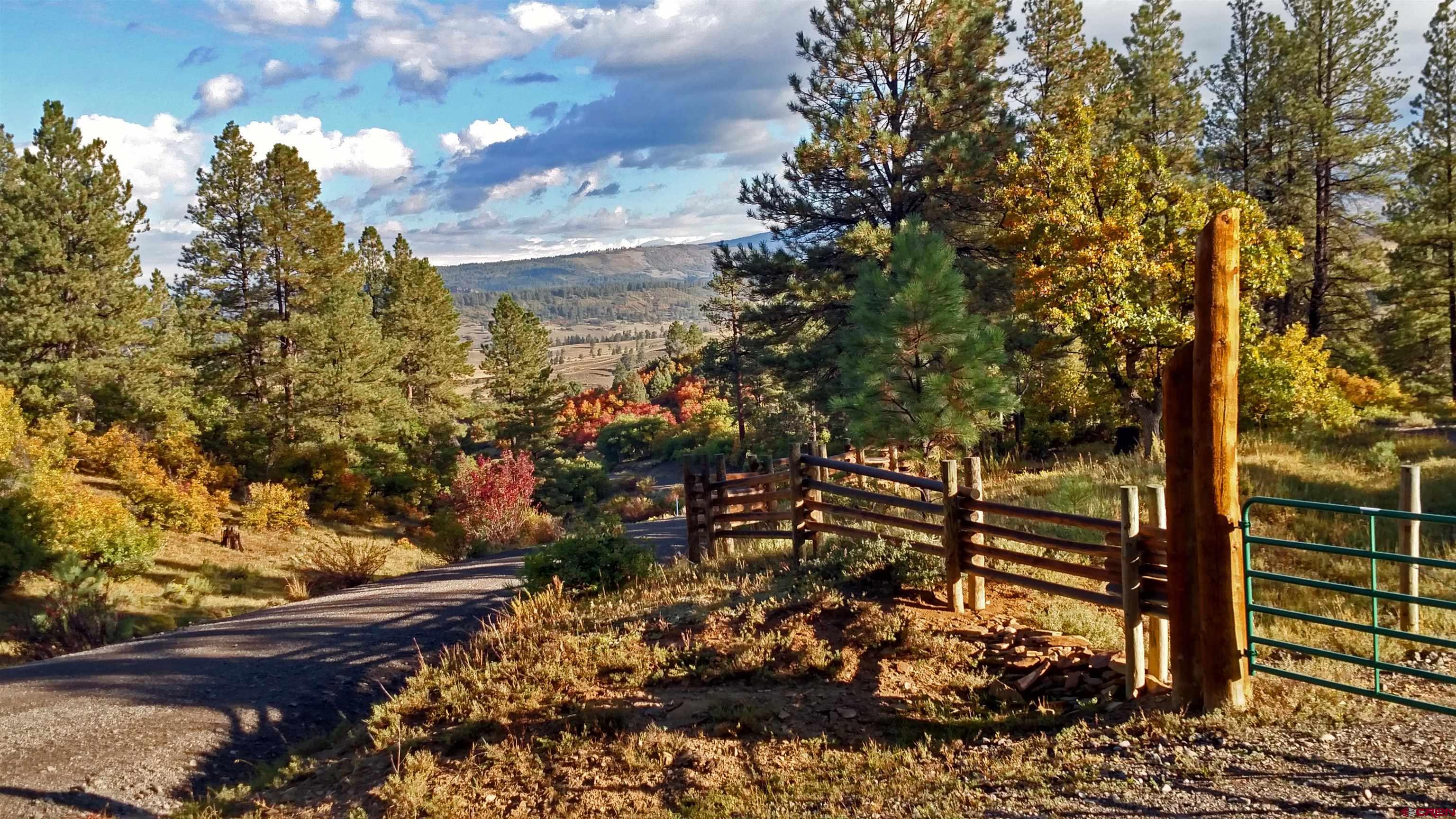 Lot 2 Spring Valley Ranch Road Chromo, CO 81128 - Photo 9 of 35 a view of a pathway with a tree