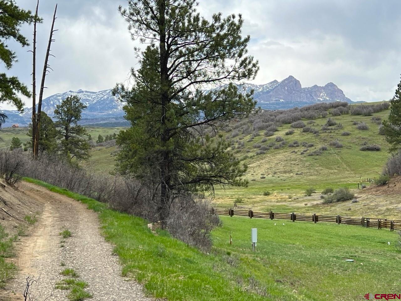 Lot 2 Spring Valley Ranch Road Chromo, CO 81128 - Photo 10 of 35