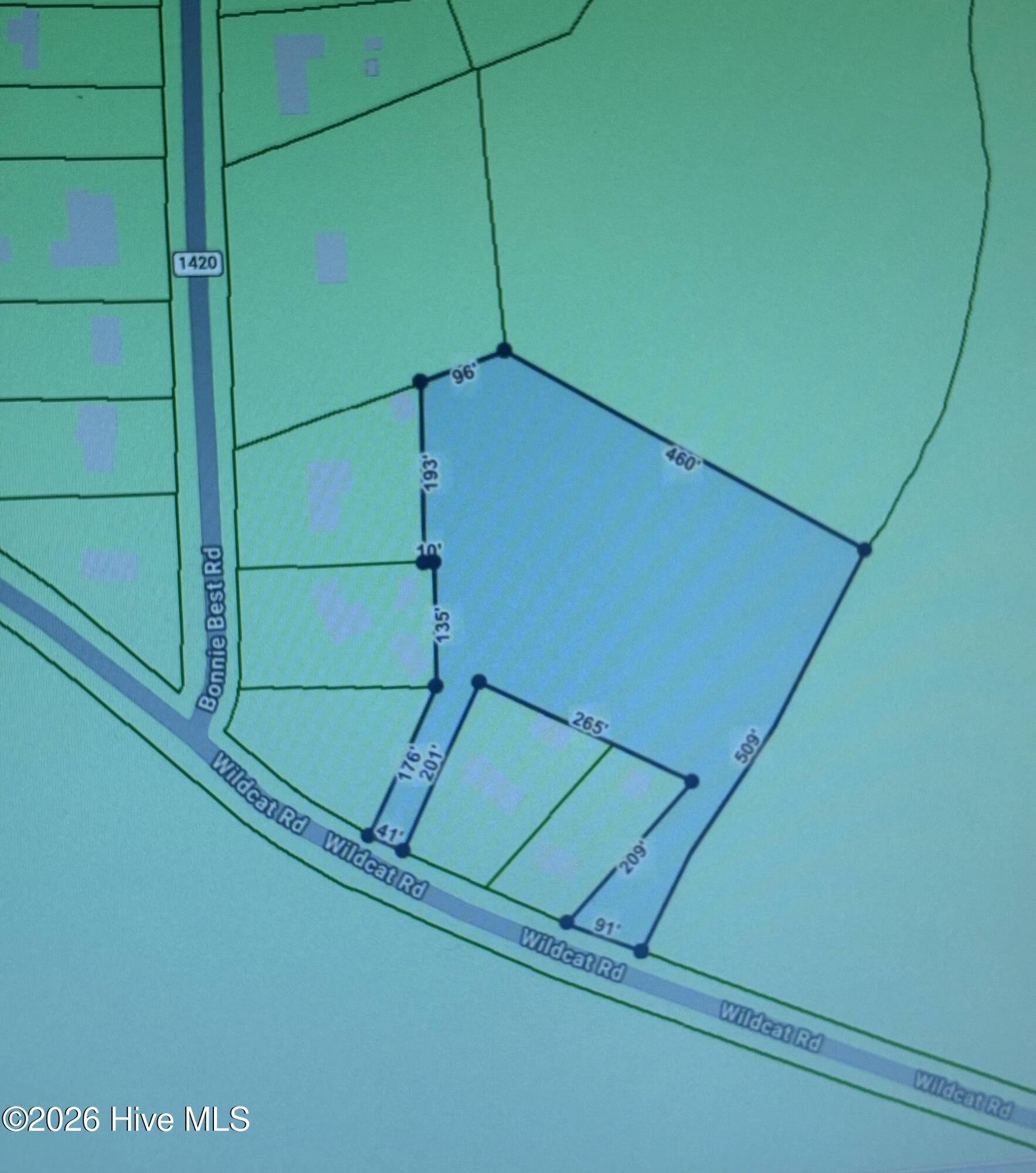 0 Wildcat Road Williamston, NC 27892 - Photo 1 of 1 Private and Peaceful