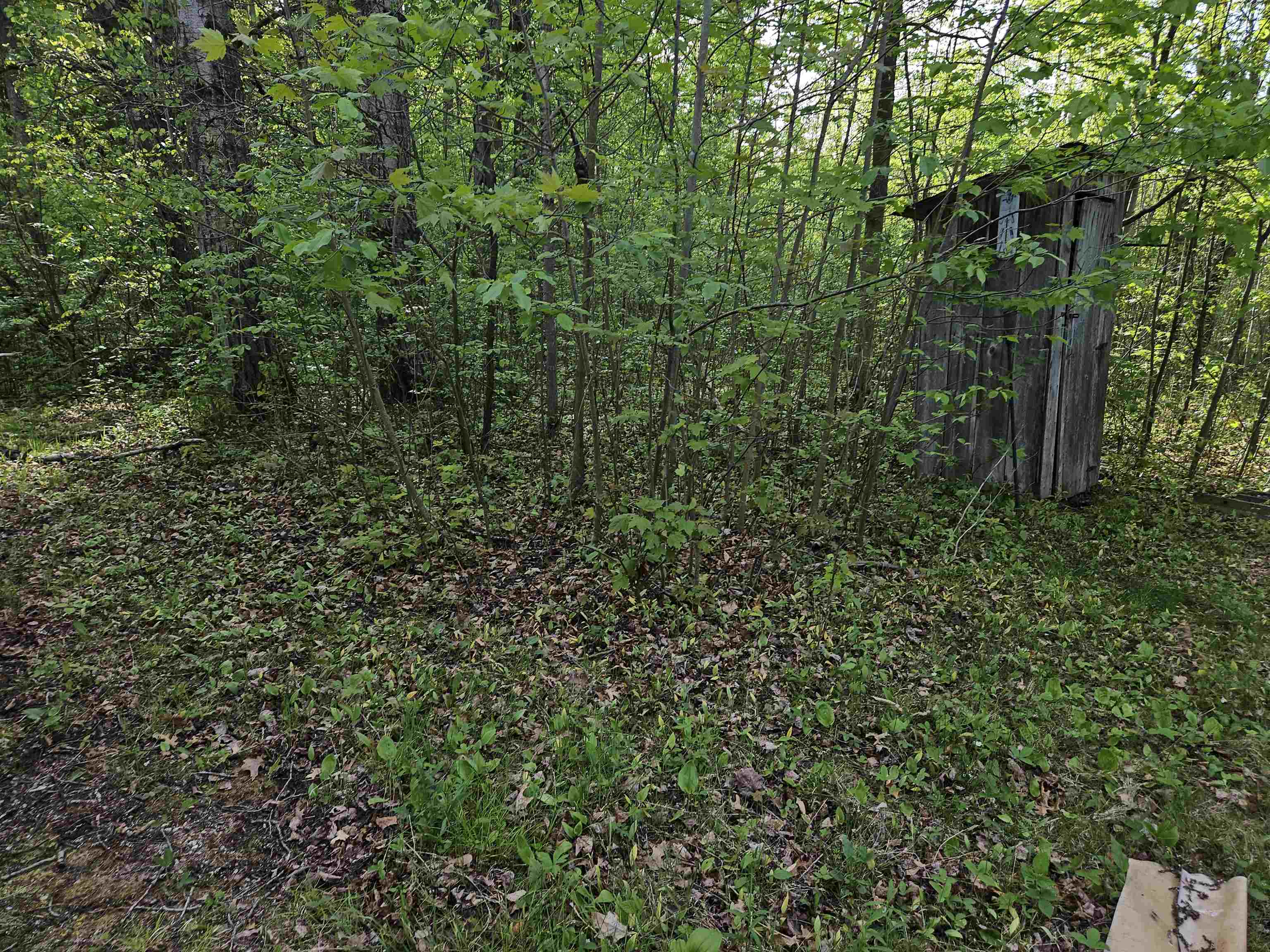 5350 East Cranberry Lake Road Harrison, MI 48625 - Photo 15 of 23