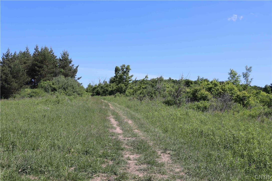 70-acres Cleveland Road Liverpool, NY 13088 - Photo 8 of 16 Gallery Image 8