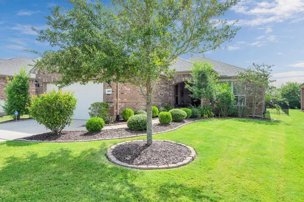 a view of a backyard with plants and a tree
