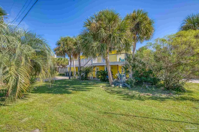 a view of a park with a palm trees