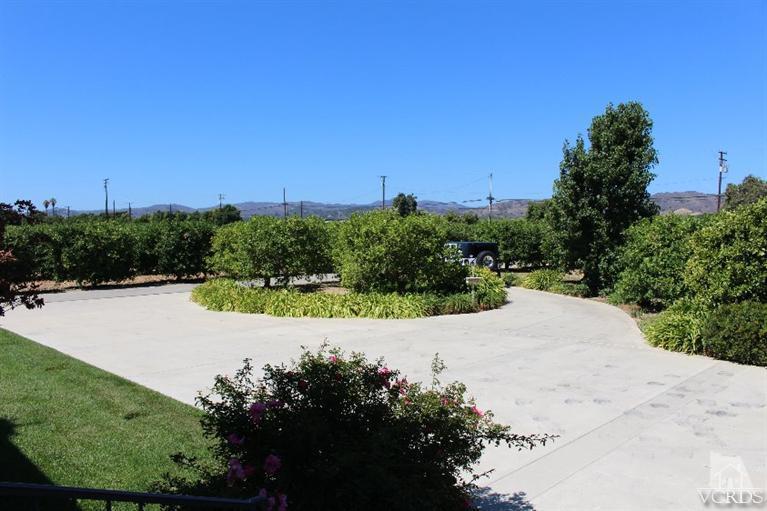 14648 West Telegraph Road Santa Paula, CA 93060 - Photo 11 of 41 Additional Photo
