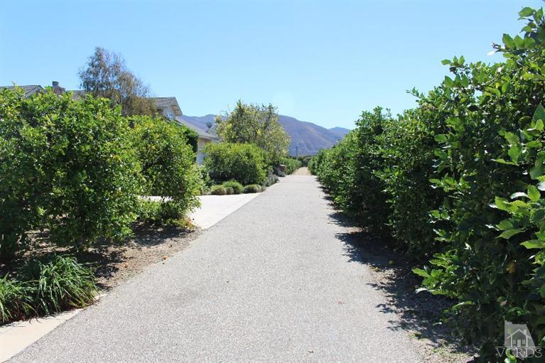 14648 West Telegraph Road Santa Paula, CA 93060 - Photo 3 of 41 Additional Photo