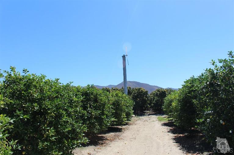 14648 West Telegraph Road Santa Paula, CA 93060 - Photo 28 of 41 Additional Photo