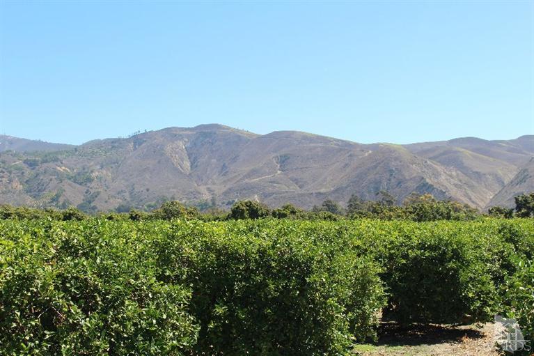 14648 West Telegraph Road Santa Paula, CA 93060 - Photo 39 of 41 Additional Photo