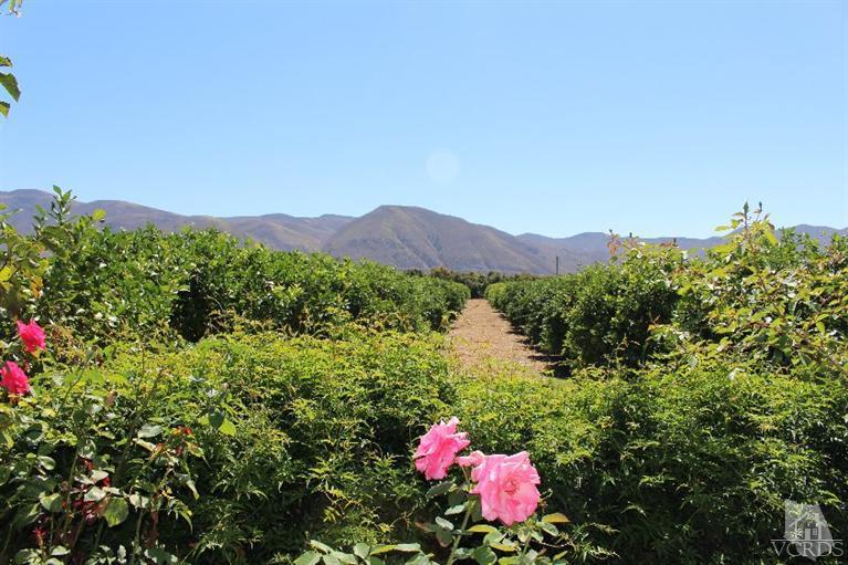 14648 West Telegraph Road Santa Paula, CA 93060 - Photo 7 of 41 Additional Photo