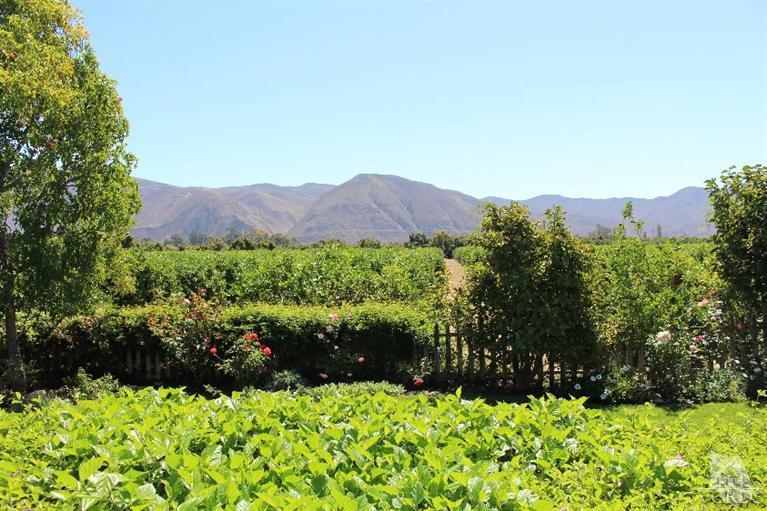 14648 West Telegraph Road Santa Paula, CA 93060 - Photo 9 of 41 Additional Photo