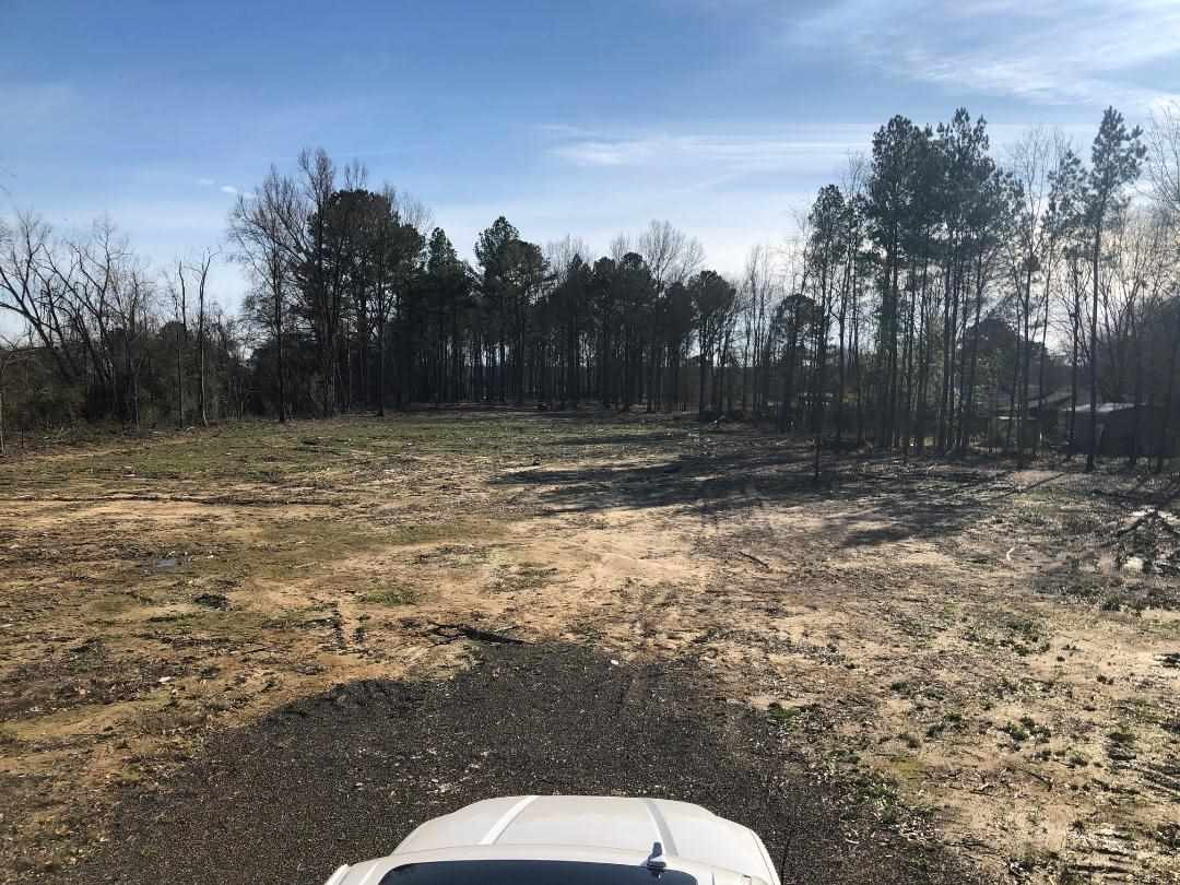 742 Holly Bush Road Brandon, MS 39047 - Photo 5 of 7 Photo 6