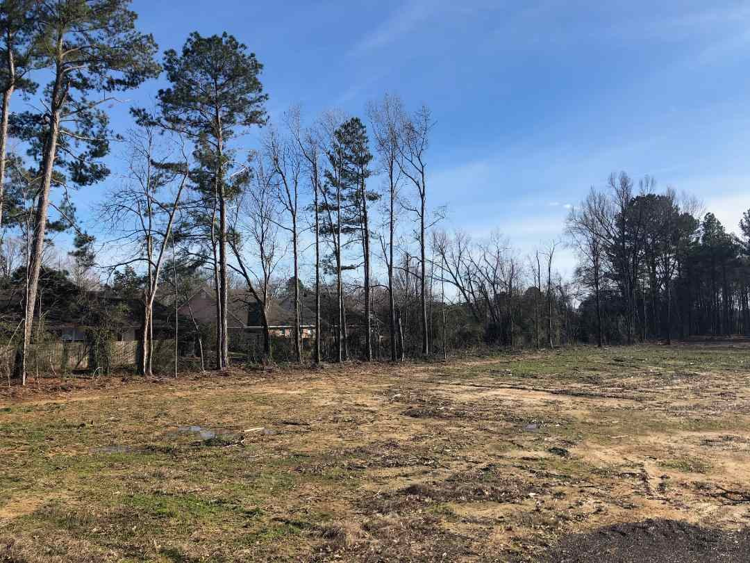 742 Holly Bush Road Brandon, MS 39047 - Photo 6 of 7 Photo 7