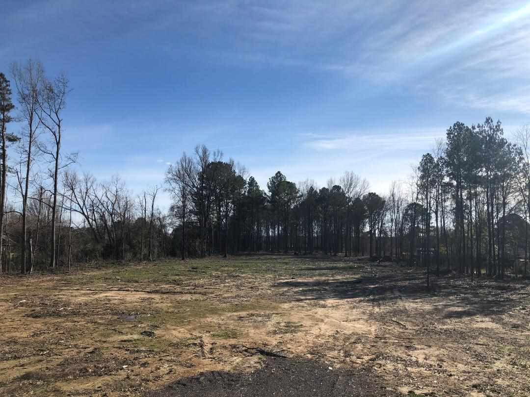 742 Holly Bush Road Brandon, MS 39047 - Photo 7 of 7 Photo 8