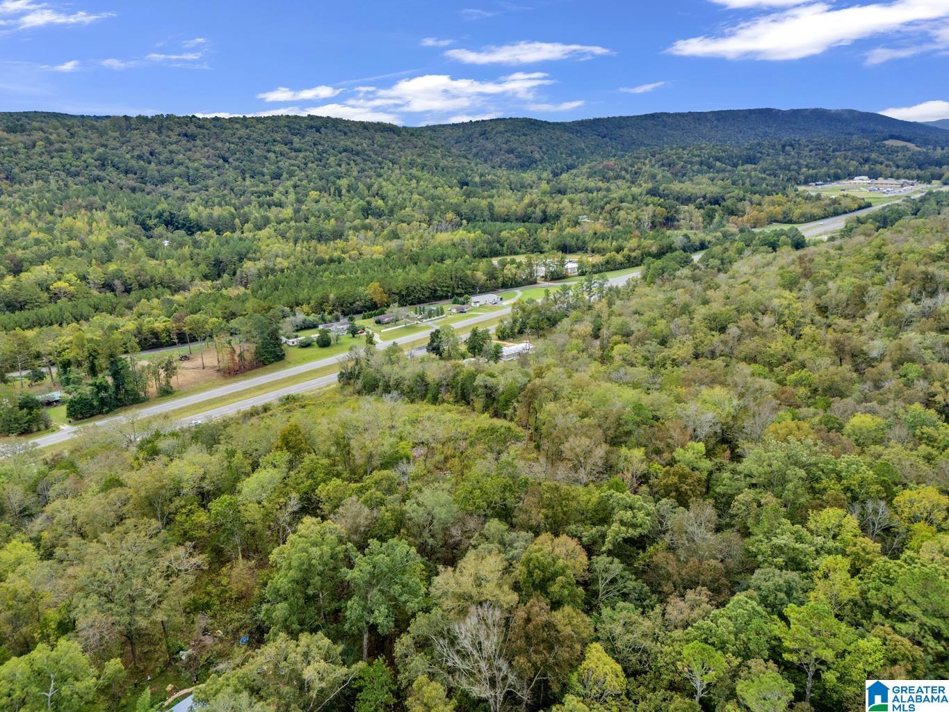 0 Highway 75 Remlap, AL 35133 - Photo 2 of 6