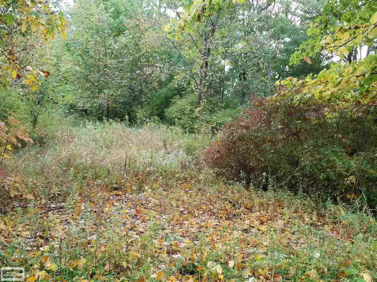 Nettney Road Capac, MI 48014 - Photo 1 of 3