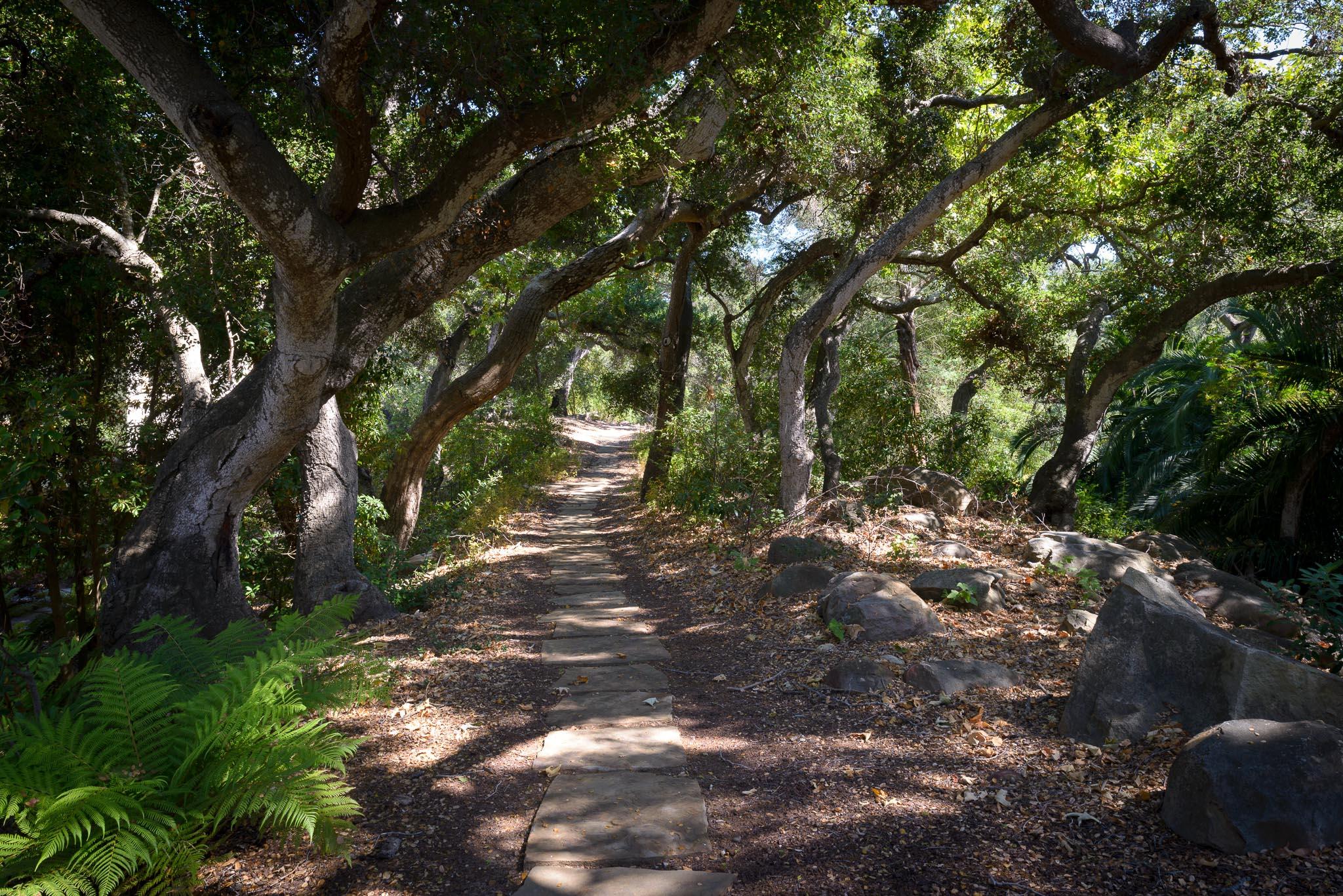 1240 East Valley Road Santa Barbara, CA 93108 - Photo 11 of 11 a view of forest