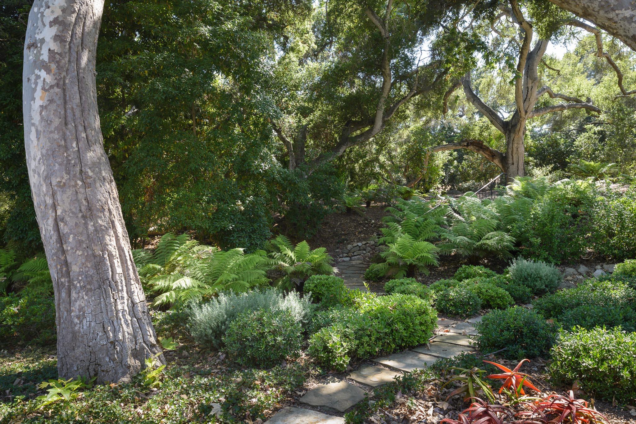 1240 East Valley Road Santa Barbara, CA 93108 - Photo 10 of 11 a view of a garden