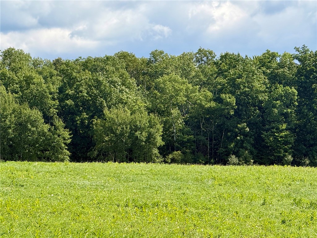 0 Tucker Road East Campbell, NY 14821 - Photo 6 of 8 Gallery Image 6