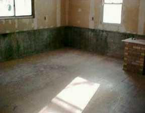 14985 E Road Atlantic, PA 16111 - Photo 3 of 3