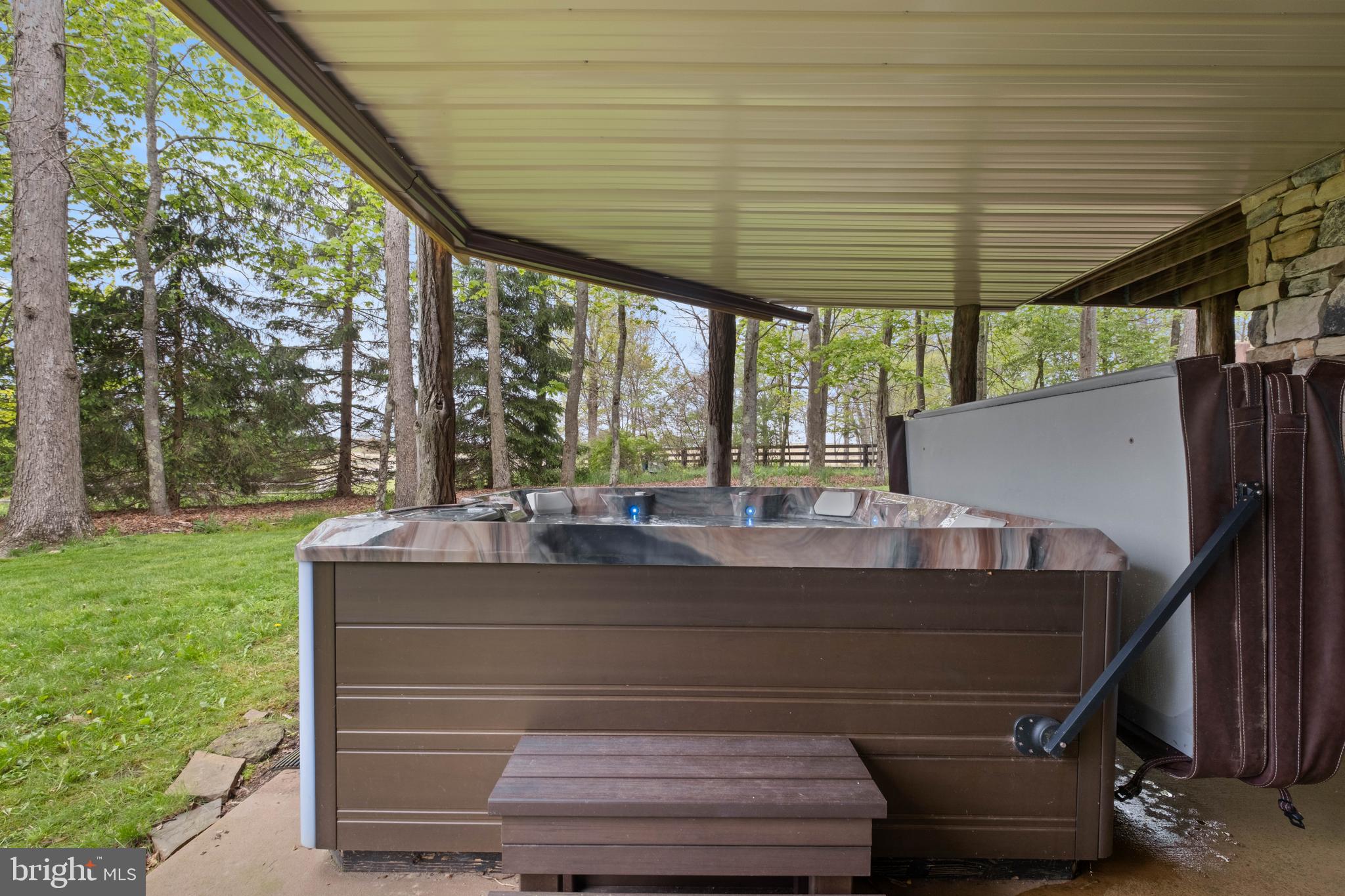 125 Ruta Lane Swanton, MD 21561 - Photo 60 of 77 New Hot Tub