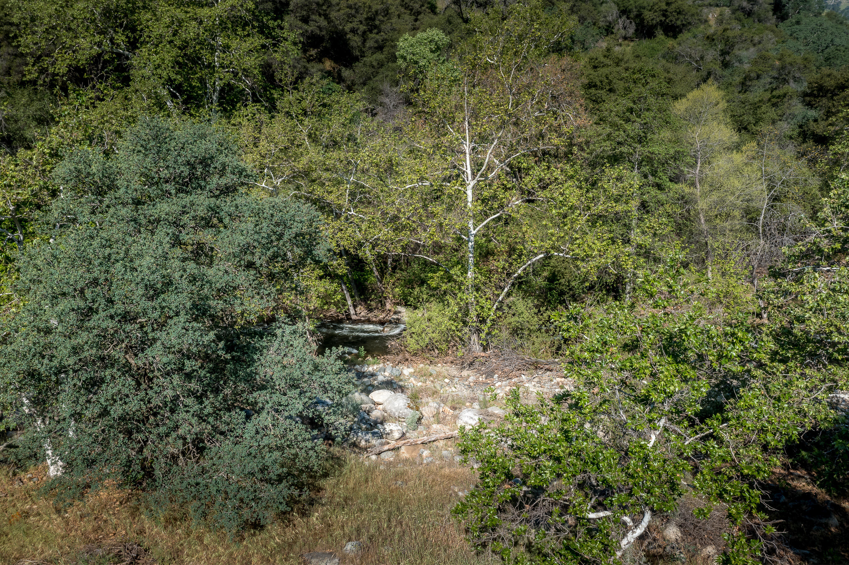 44335 North Fork Three Rivers, CA 93271 - Photo 28 of 53 DJI_0229-HDR