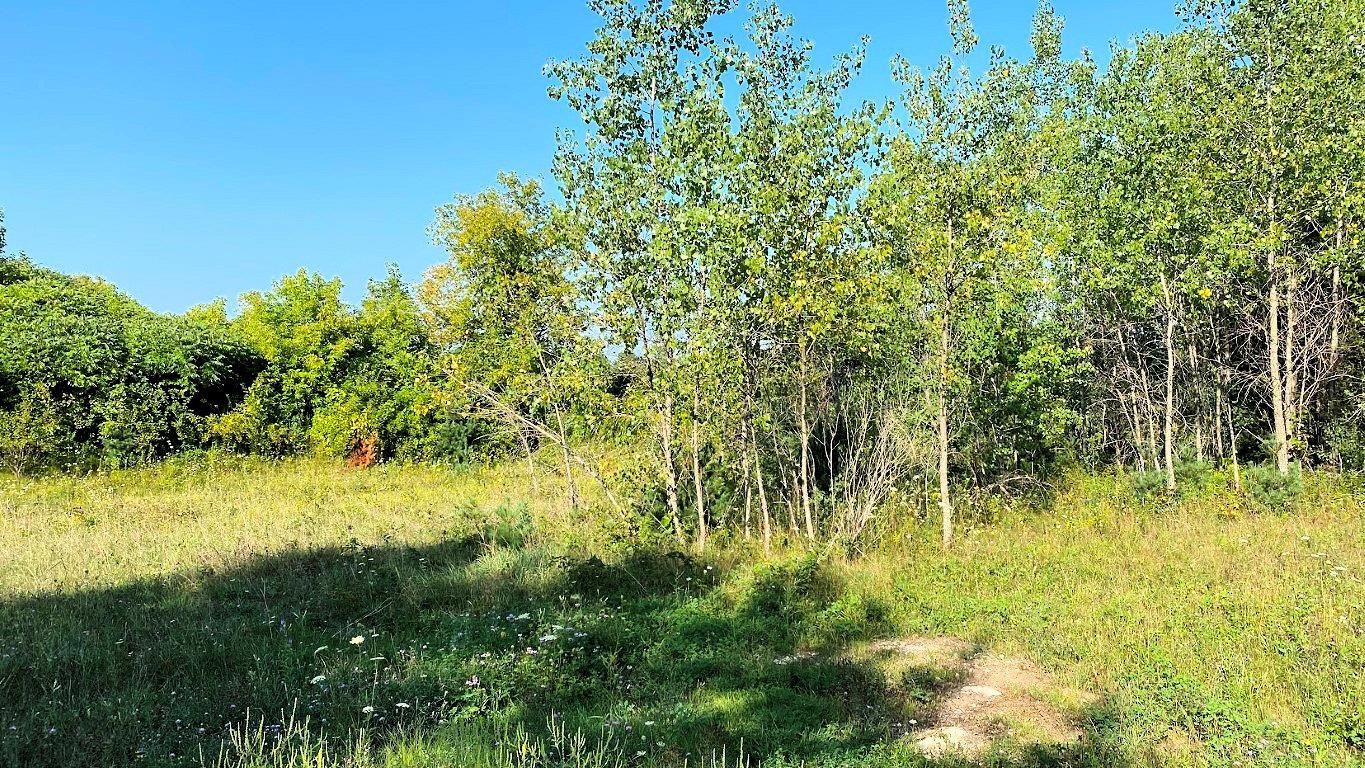 Lot 2 Chula Vista Wisconsin Dells, WI 53965 - Photo 14 of 26