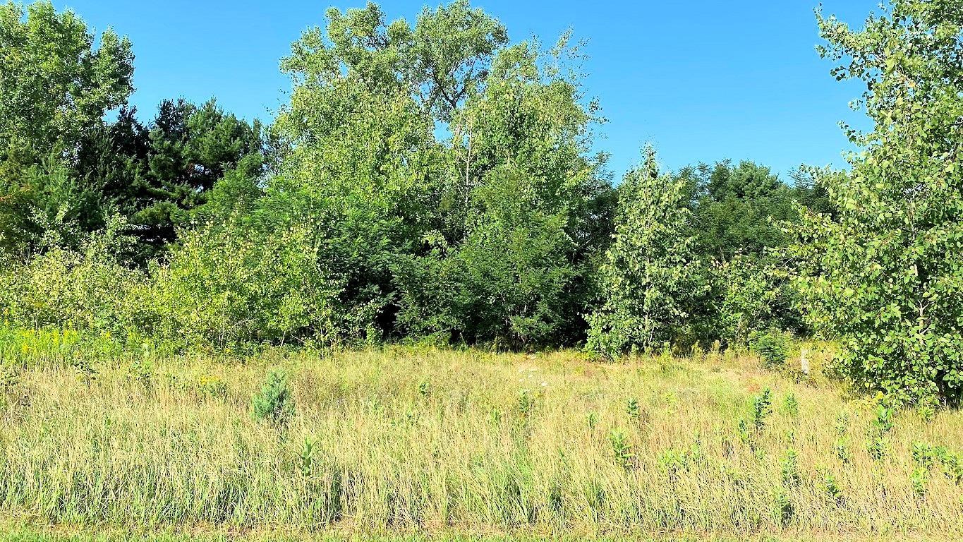 Lot 2 Chula Vista Wisconsin Dells, WI 53965 - Photo 19 of 26