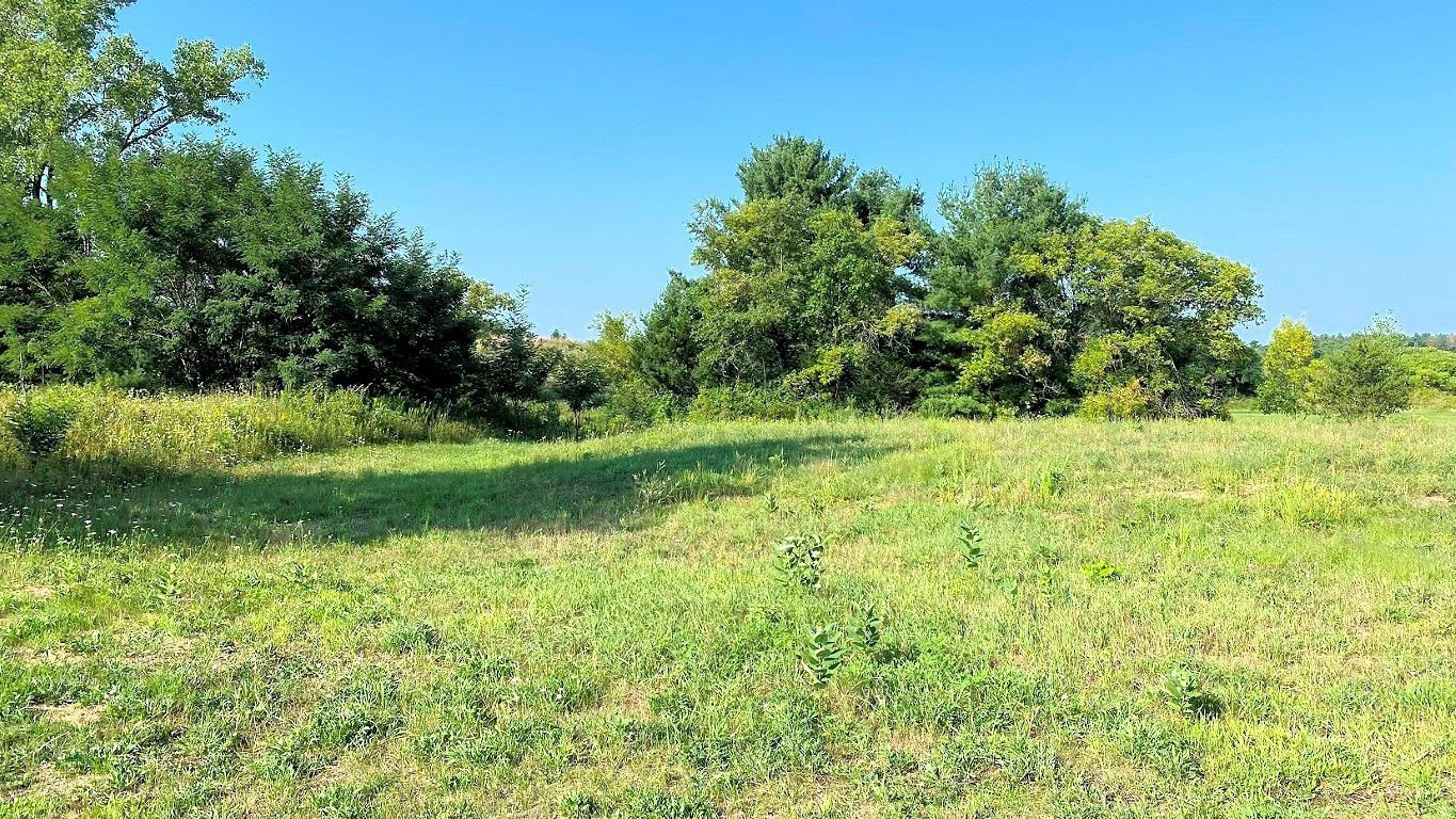 Lot 2 Chula Vista Wisconsin Dells, WI 53965 - Photo 3 of 26