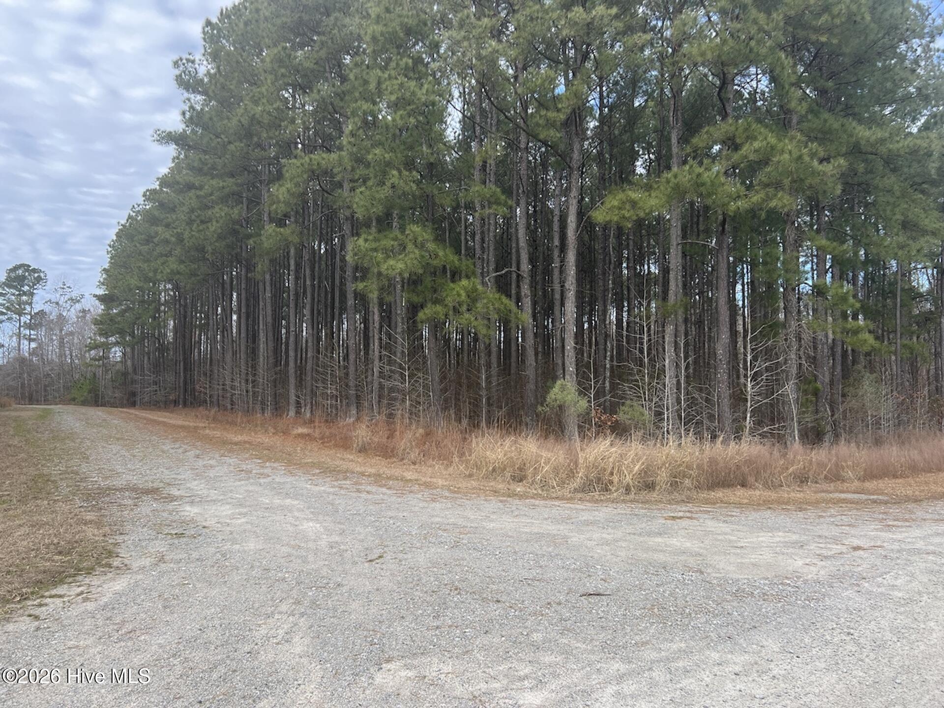 405 Batts Island Road Edenton, NC 27932 - Photo 21 of 43 11