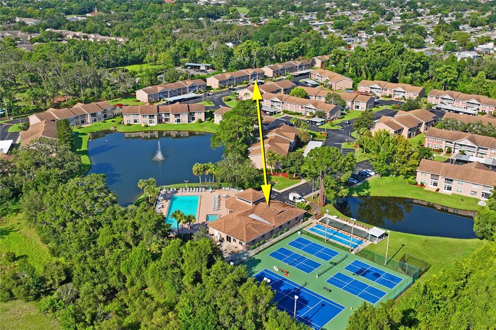 6424 Spring Flower Drive, Unit 24 New Port Richey, FL 34653 - Photo 43 of 66