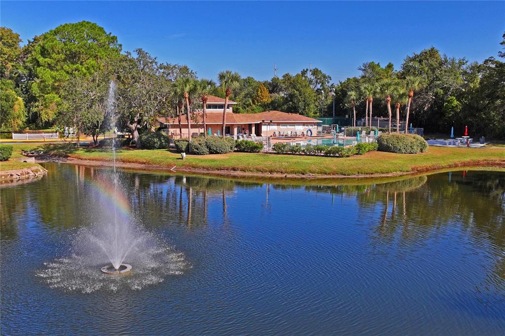 6424 Spring Flower Drive, Unit 24 New Port Richey, FL 34653 - Photo 45 of 66 a house with swimming pool in front of it