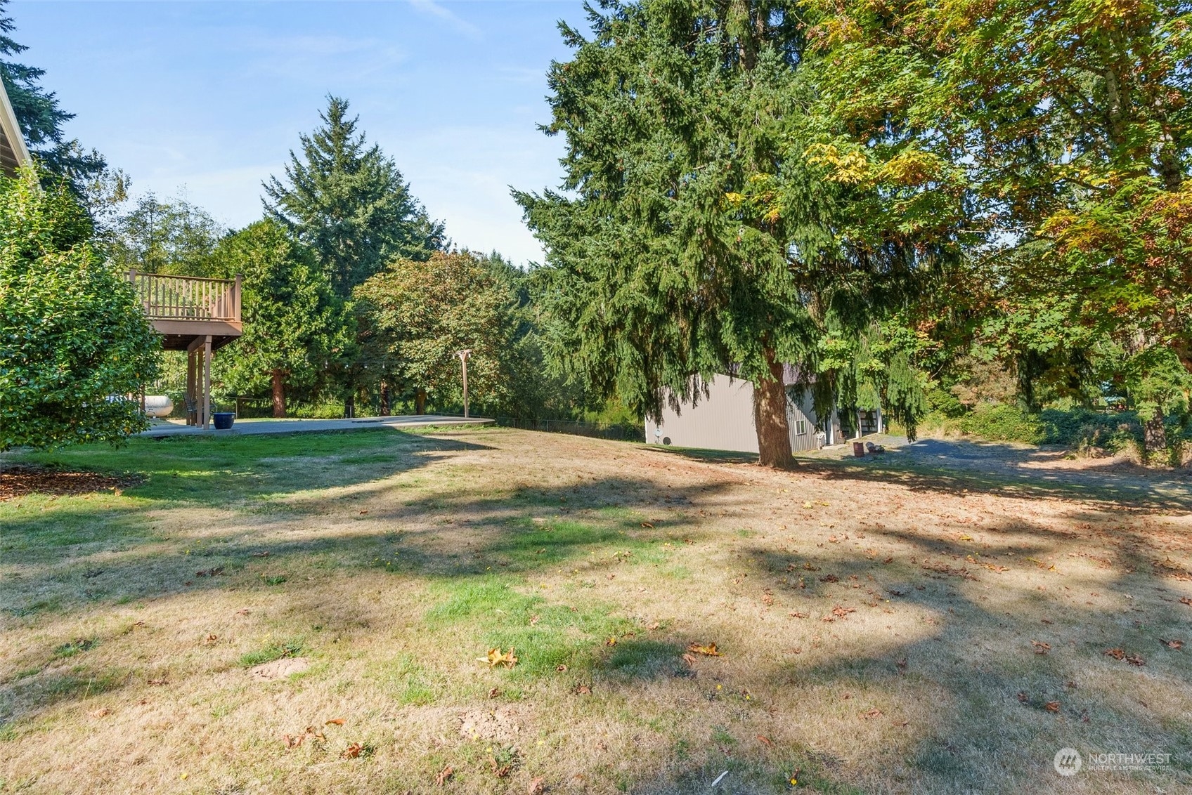 203 Sommerville Road Chehalis, WA 98532 - Photo 32 of 39 a view of a yard with plants and trees
