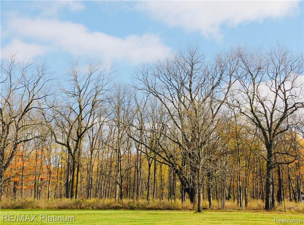 1031 South Elliott Road Fowlerville, MI 48836 - Photo 26 of 39 Approx 25% Wooded Property