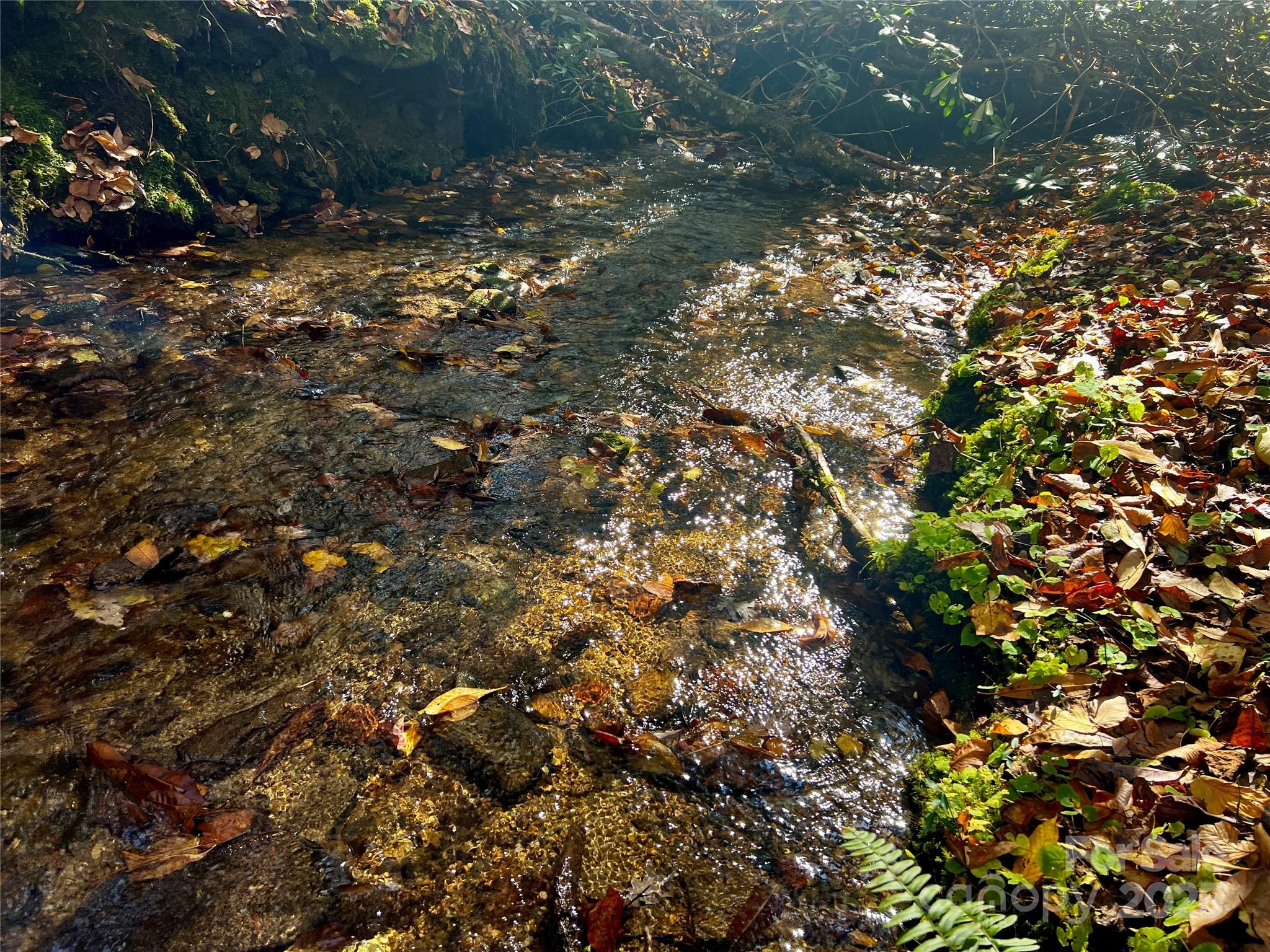 Tbd Old Toxaway Road Brevard, NC 28712 - Photo 12 of 23 a view of a tree