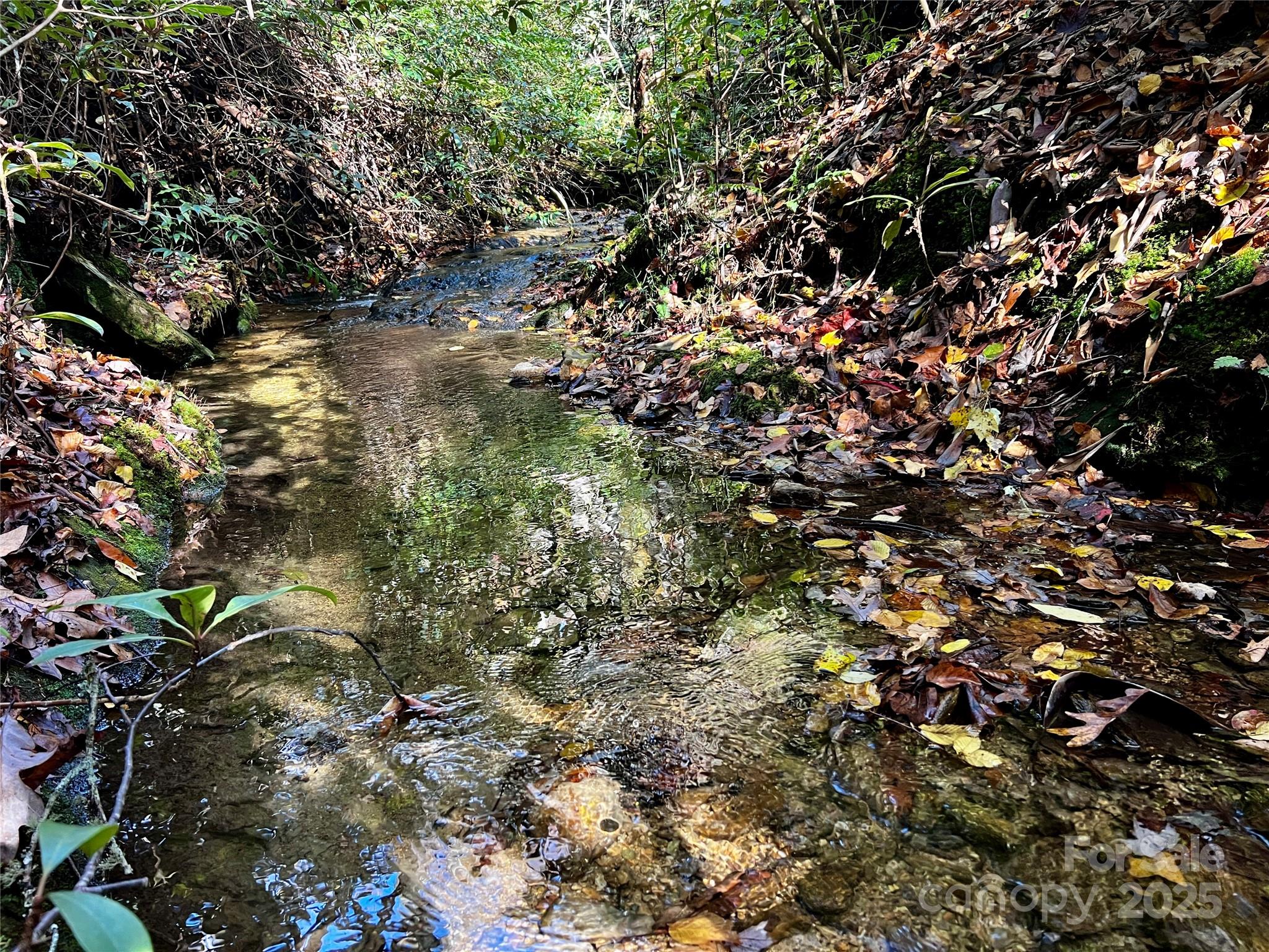 Tbd Old Toxaway Road Brevard, NC 28712 - Photo 13 of 23 a view of a tree