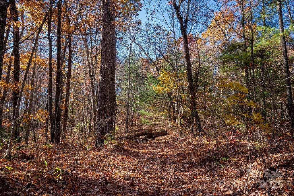 Tbd Old Toxaway Road Brevard, NC 28712 - Photo 14 of 23 a backyard of a house with lots of green space