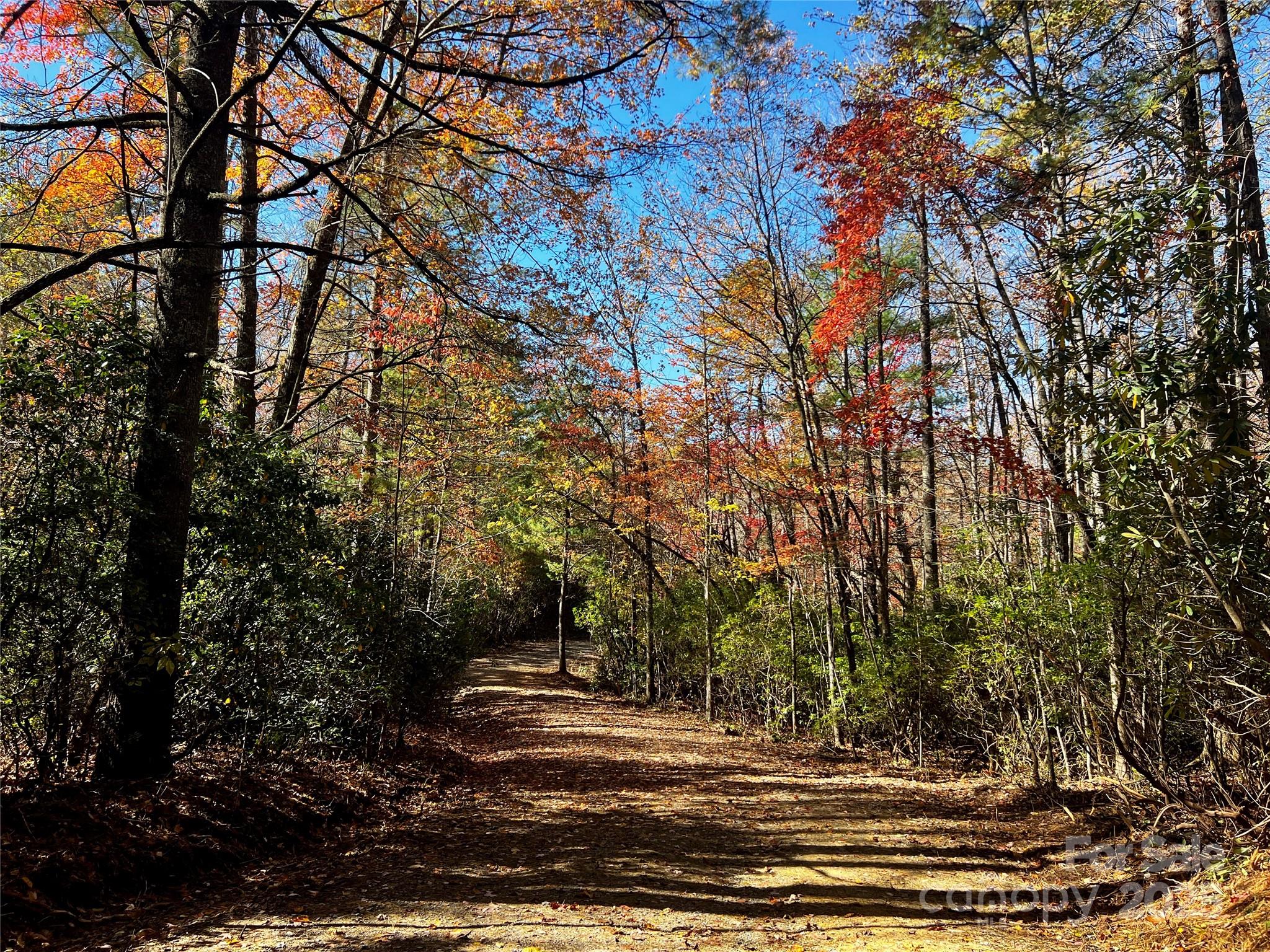 Tbd Old Toxaway Road Brevard, NC 28712 - Photo 16 of 23