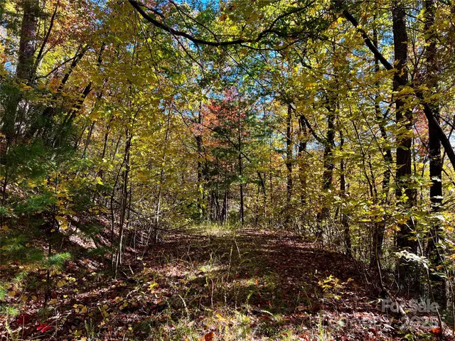a view of street along with trees