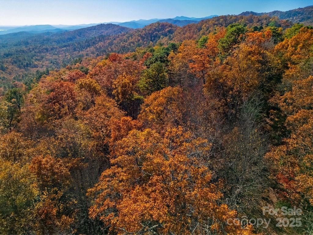 Tbd Old Toxaway Road Brevard, NC 28712 - Photo 2 of 23 a view of a forest with mountains in the background