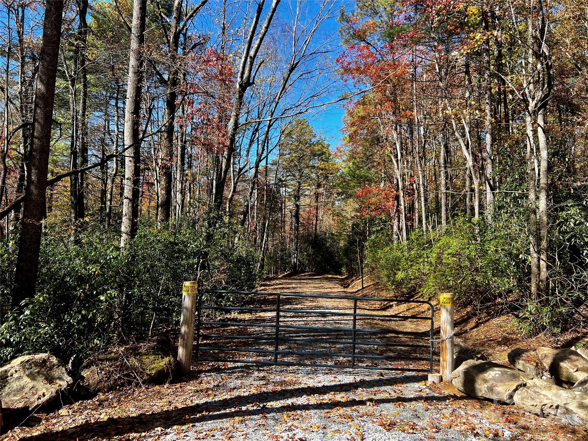 Tbd Old Toxaway Road Brevard, NC 28712 - Photo 21 of 23 a view of street along with trees