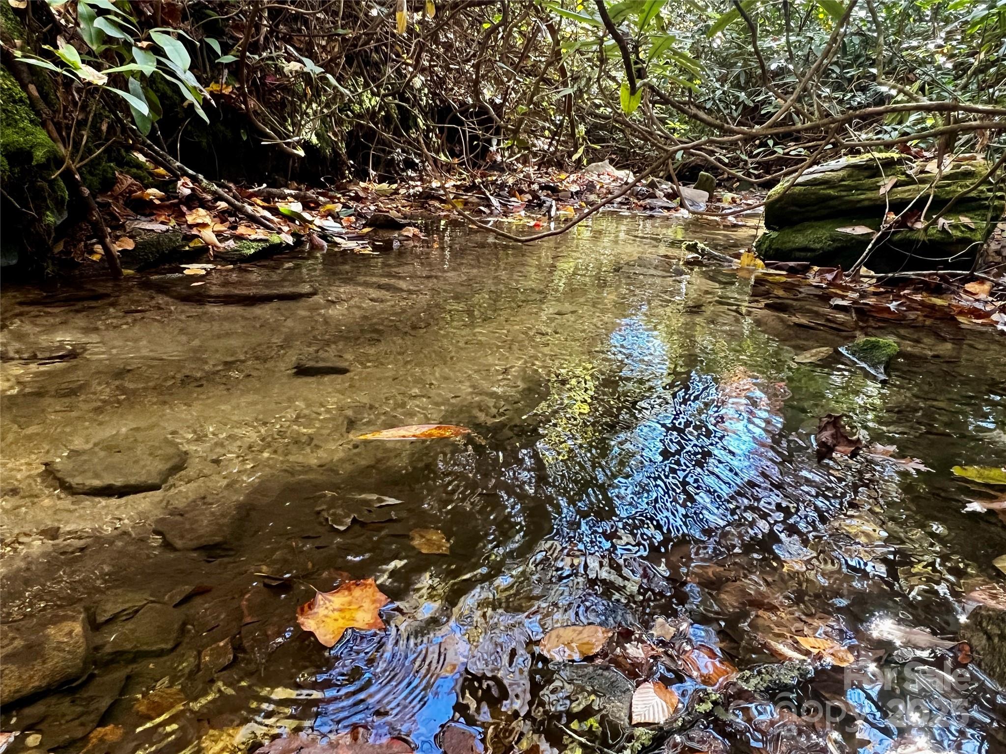 Tbd Old Toxaway Road Brevard, NC 28712 - Photo 22 of 23