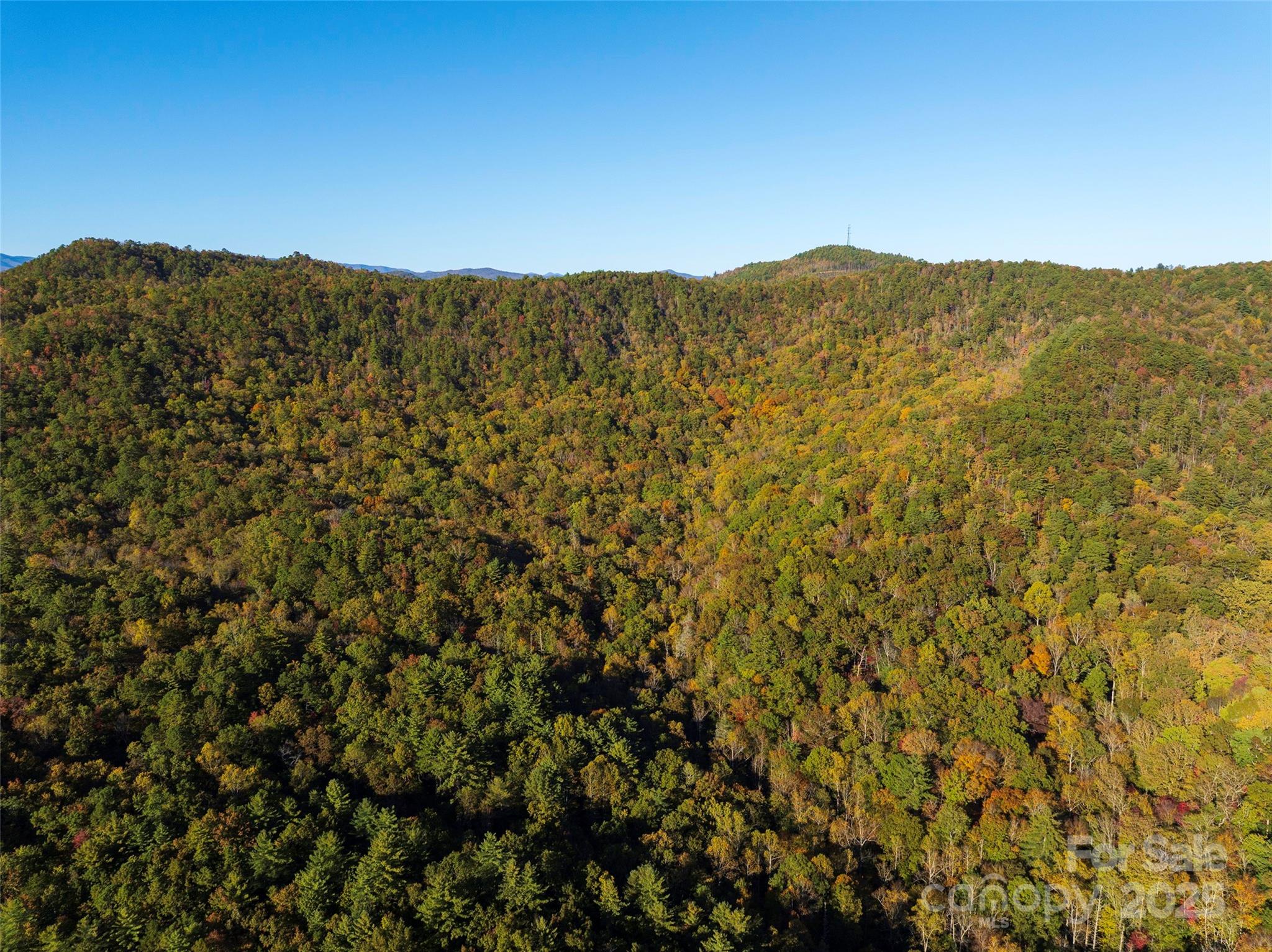 Tbd Old Toxaway Road Brevard, NC 28712 - Photo 23 of 23 a view of mountain