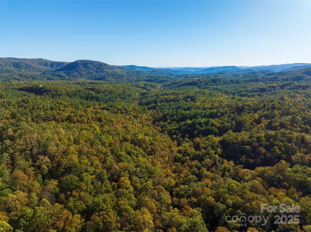 a view of a mountain range with lush green forest