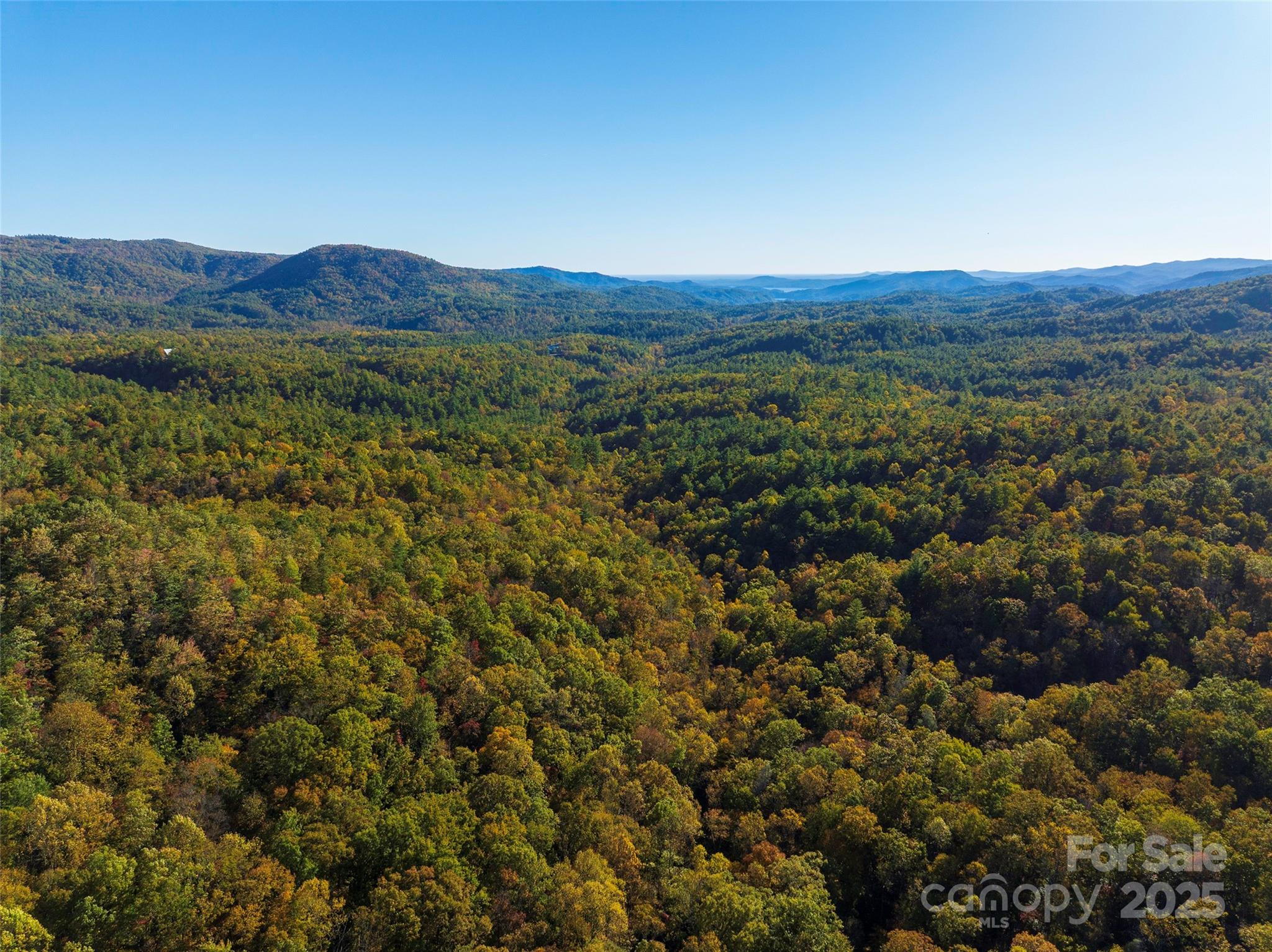 Tbd Old Toxaway Road Brevard, NC 28712 - Photo 3 of 23 a view of a mountain range with lush green forest
