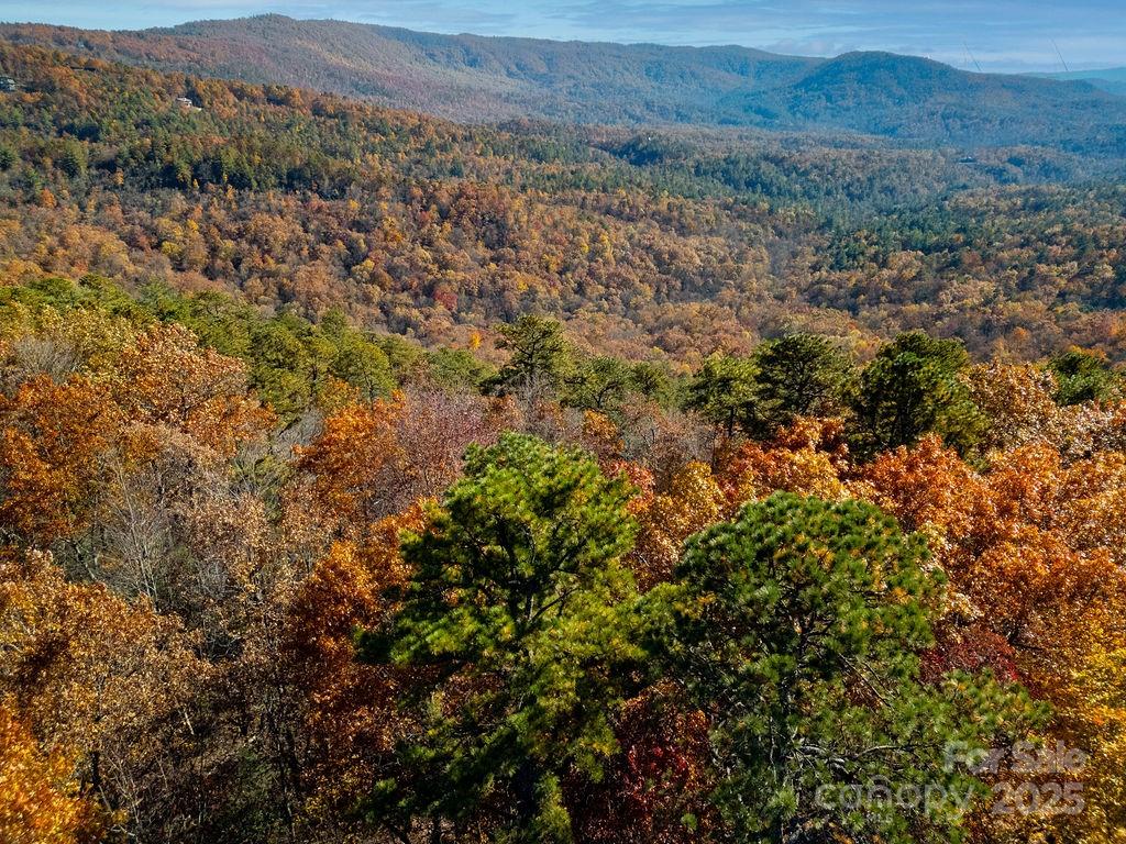 Tbd Old Toxaway Road Brevard, NC 28712 - Photo 4 of 23 a view of a mountain in the distance