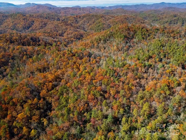 a view of a mountain in the distance
