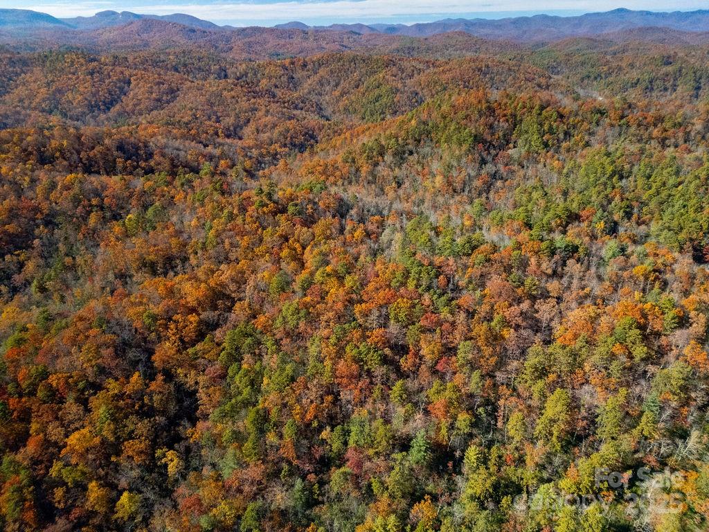 Tbd Old Toxaway Road Brevard, NC 28712 - Photo 8 of 23 a view of a mountain in the distance