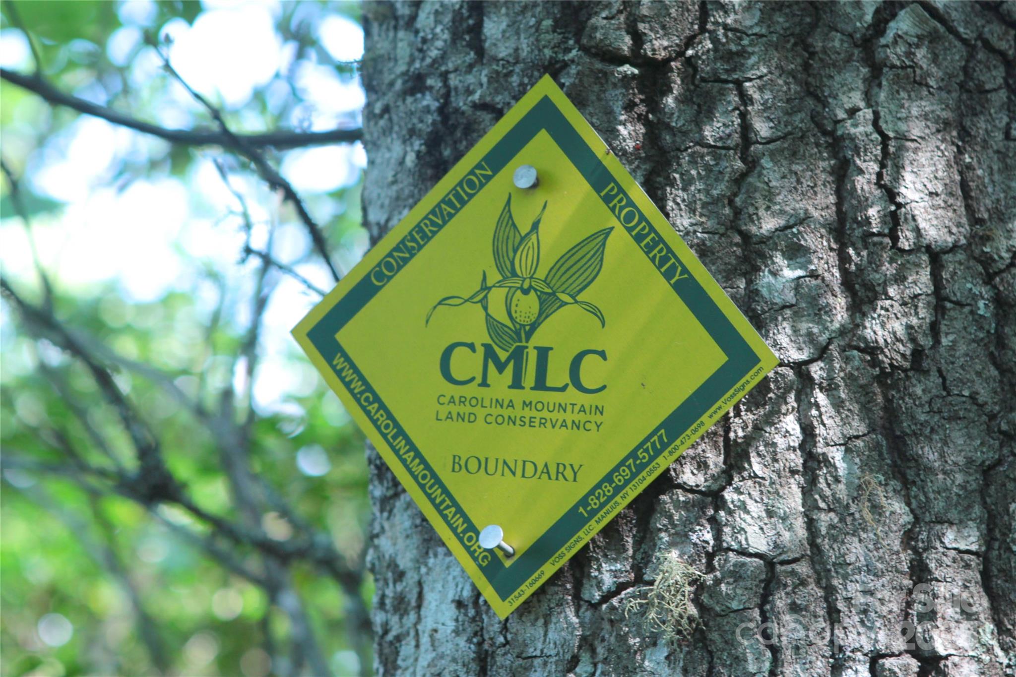 Tbd Old Toxaway Road Brevard, NC 28712 - Photo 9 of 23