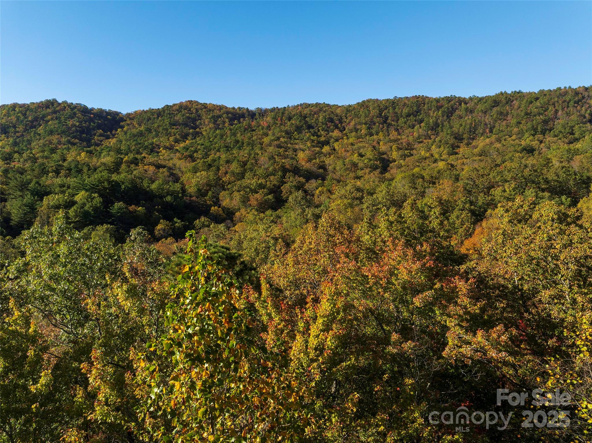 Tbd Old Toxaway Road Brevard, NC 28712 - Photo 10 of 23 a view of a large tree with a mountain in the background