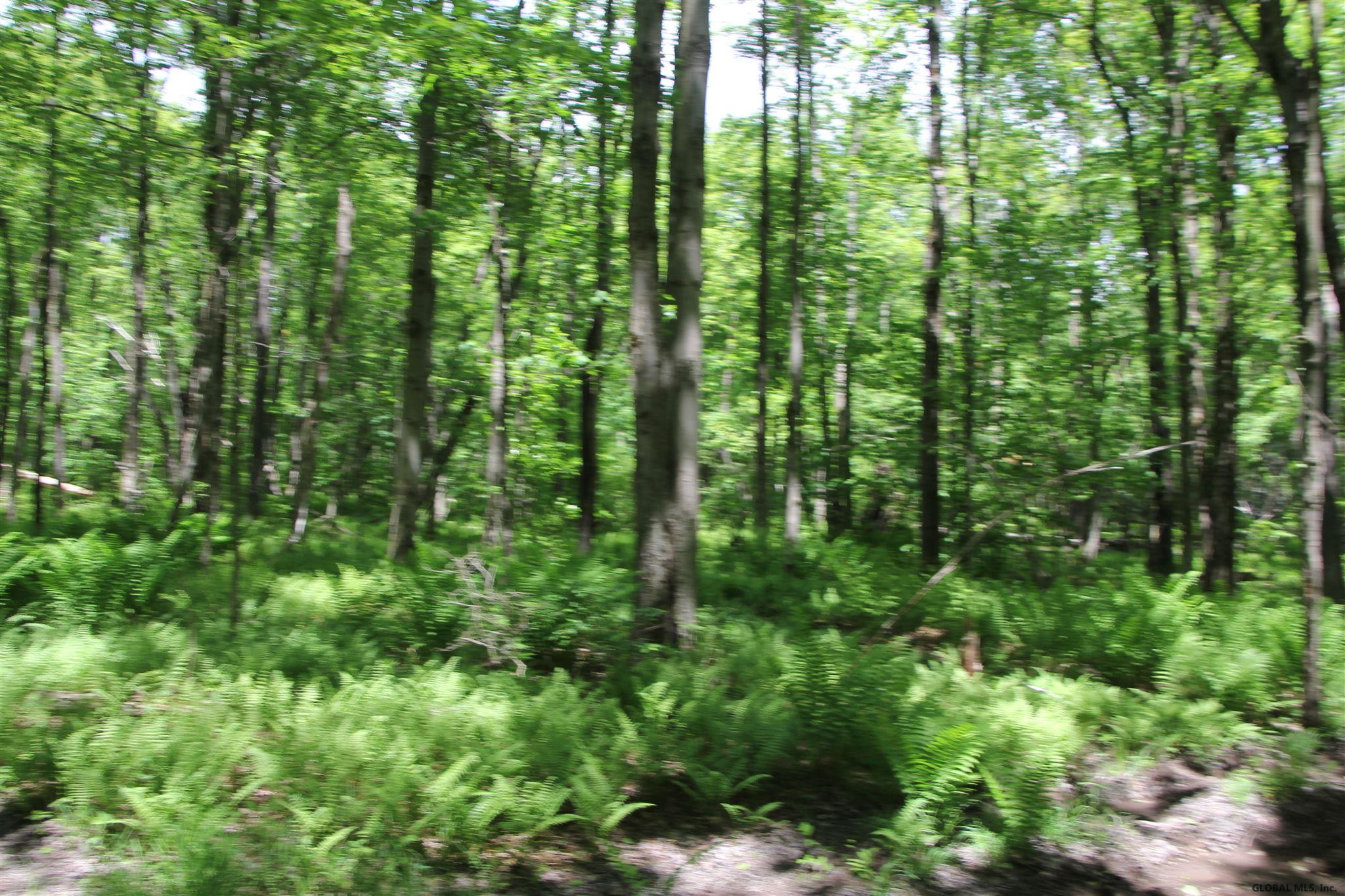 855 Thoroughbred Road Walton, NY 13856 - Photo 22 of 26 Photo 22