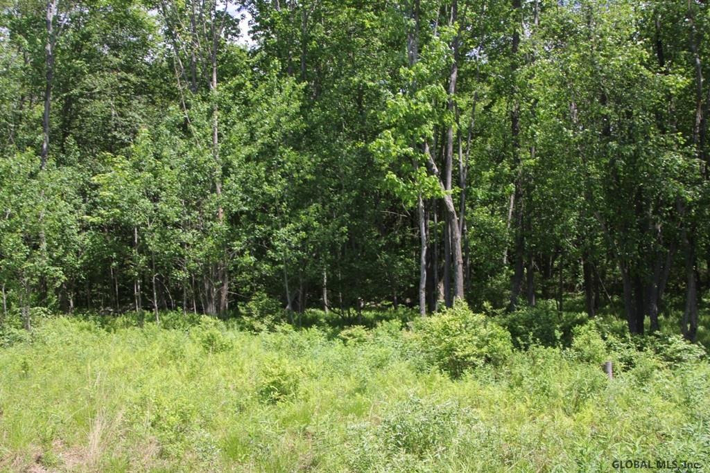 855 Thoroughbred Road Walton, NY 13856 - Photo 24 of 26 Photo 24